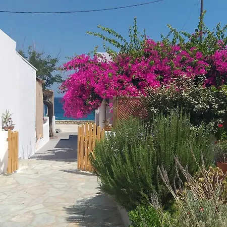 Pagonis * Σκύρος