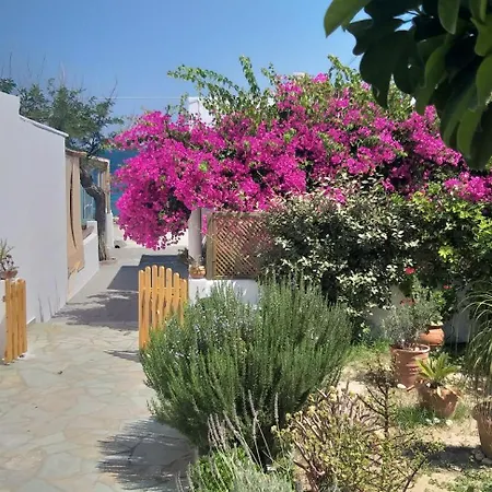 Pagonis Apartment